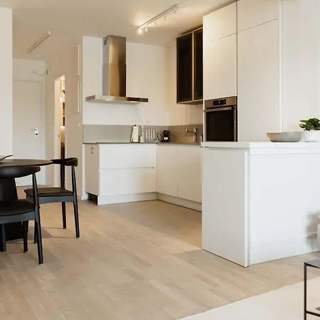 Minimalist Haven With Balcony And Garage Parking Place Split