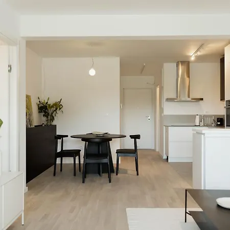Minimalist Haven With Balcony And Garage Parking Place Split